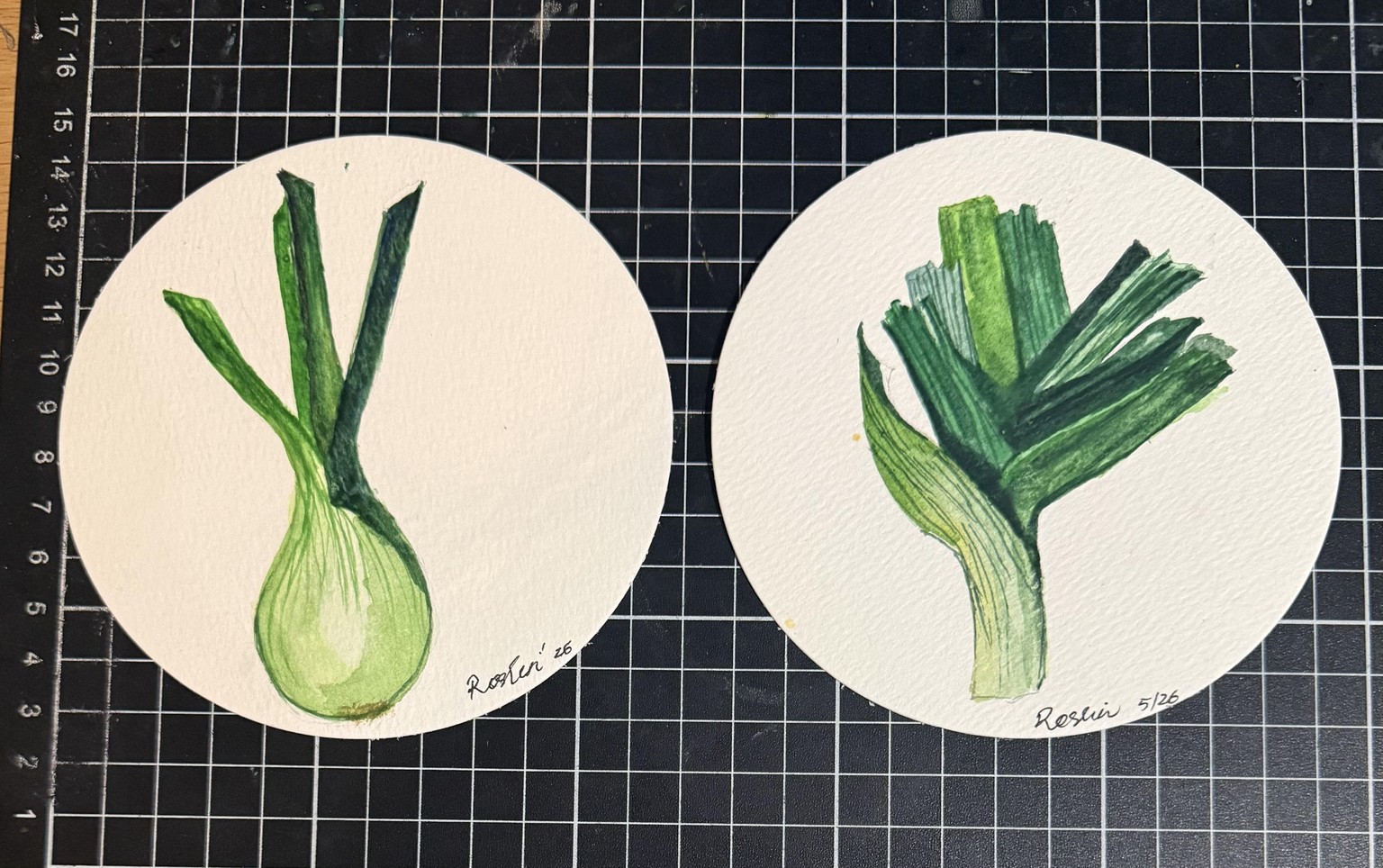 Easy botanical watercolour olives - image 1 - student project