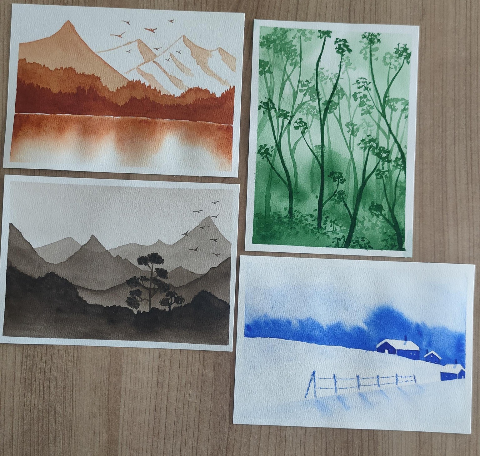 Monochrome Landscapes - image 1 - student project
