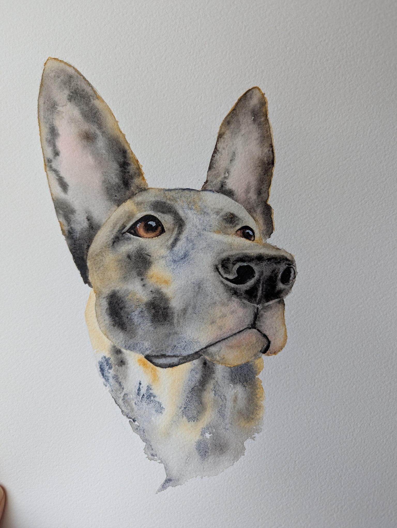 Pups - image 6 - student project