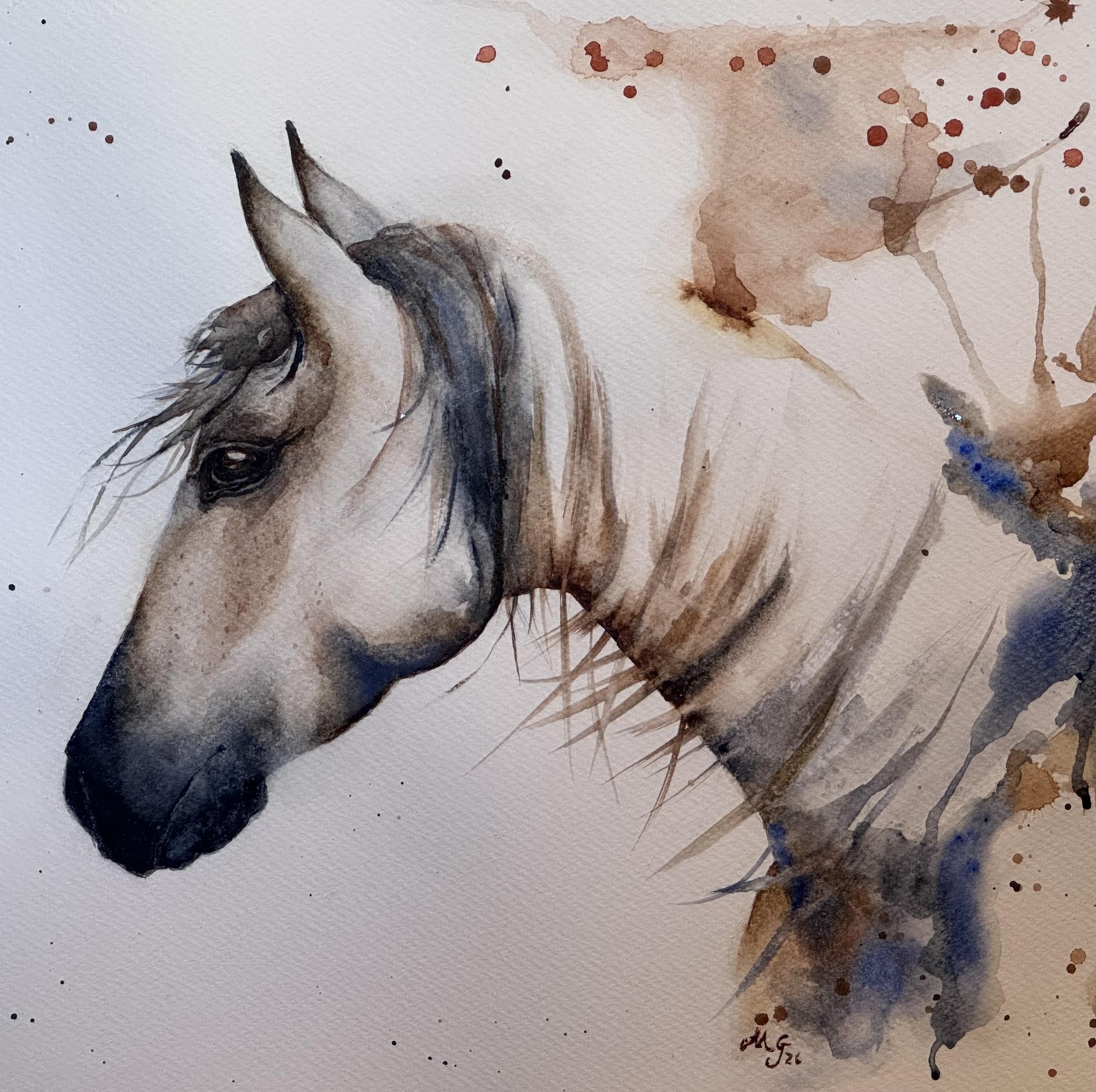 Italian horse - image 1 - student project