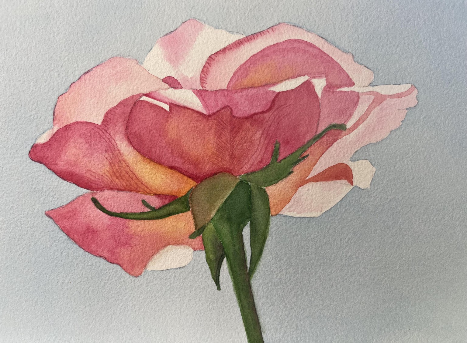 Watercolor rose - image 1 - student project