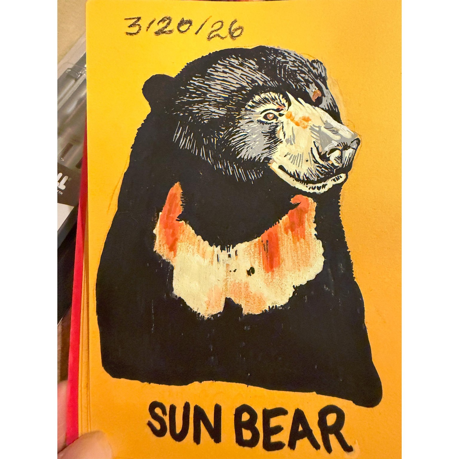 30 Days of Bears - image 7 - student project