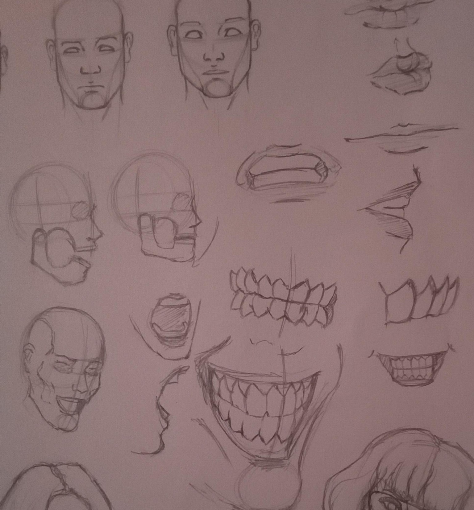 Expressions - image 3 - student project