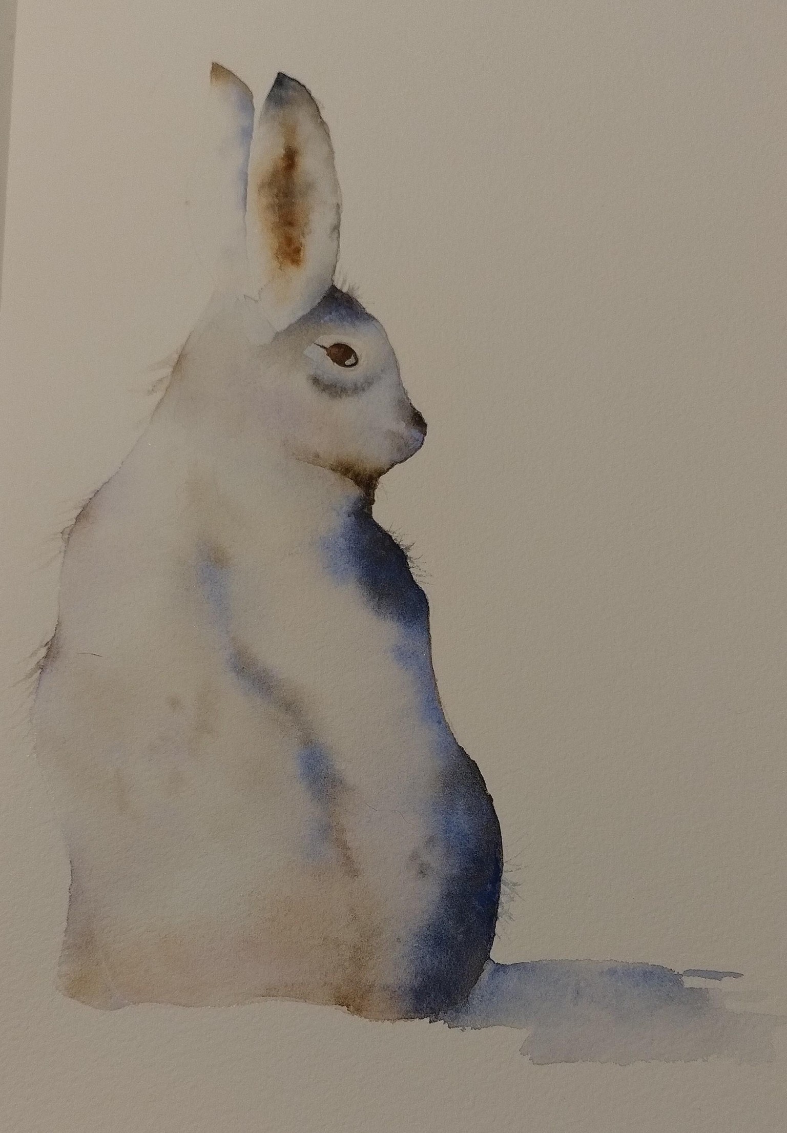 The Snow Hare - image 2 - student project
