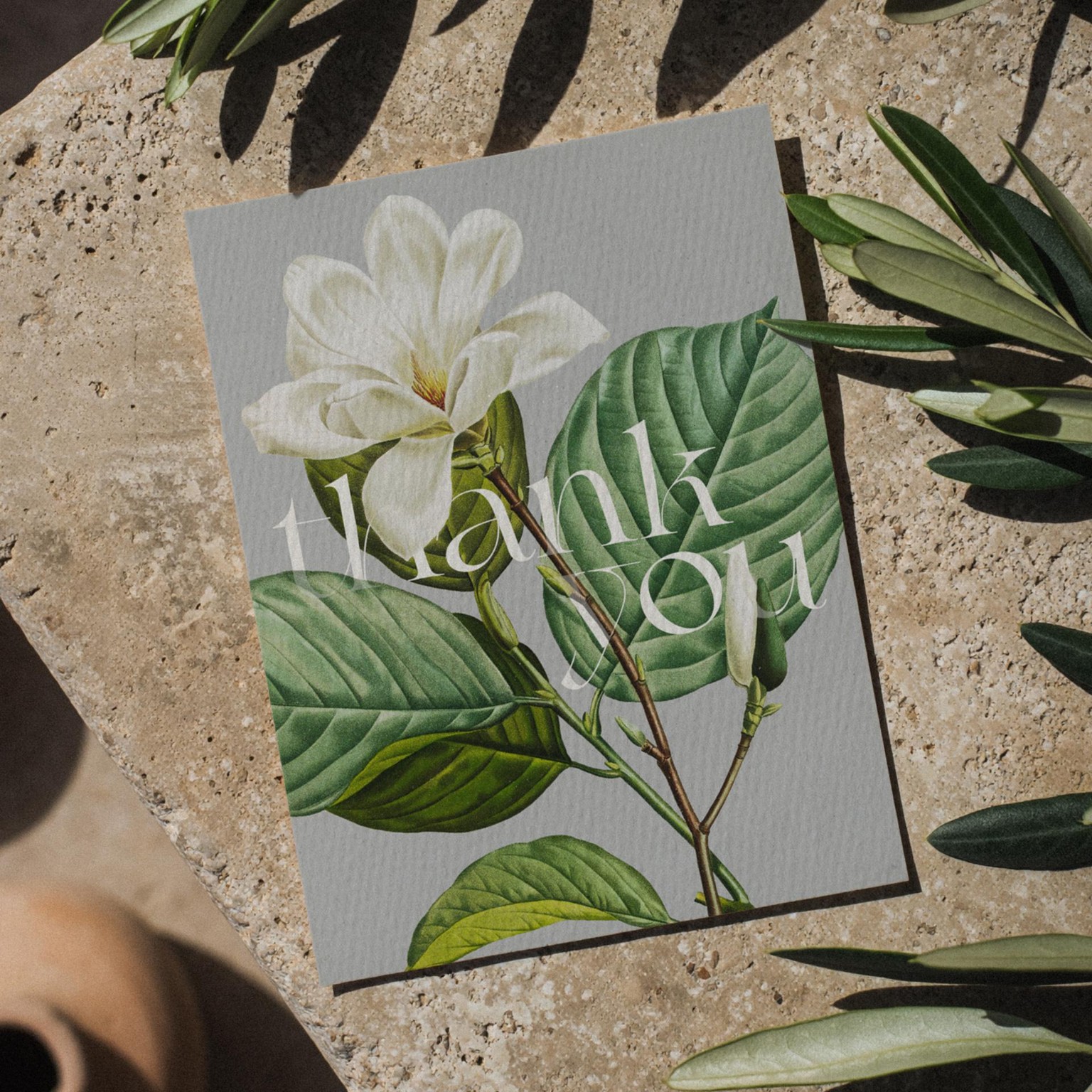 Botanical Design Exploration - image 6 - student project