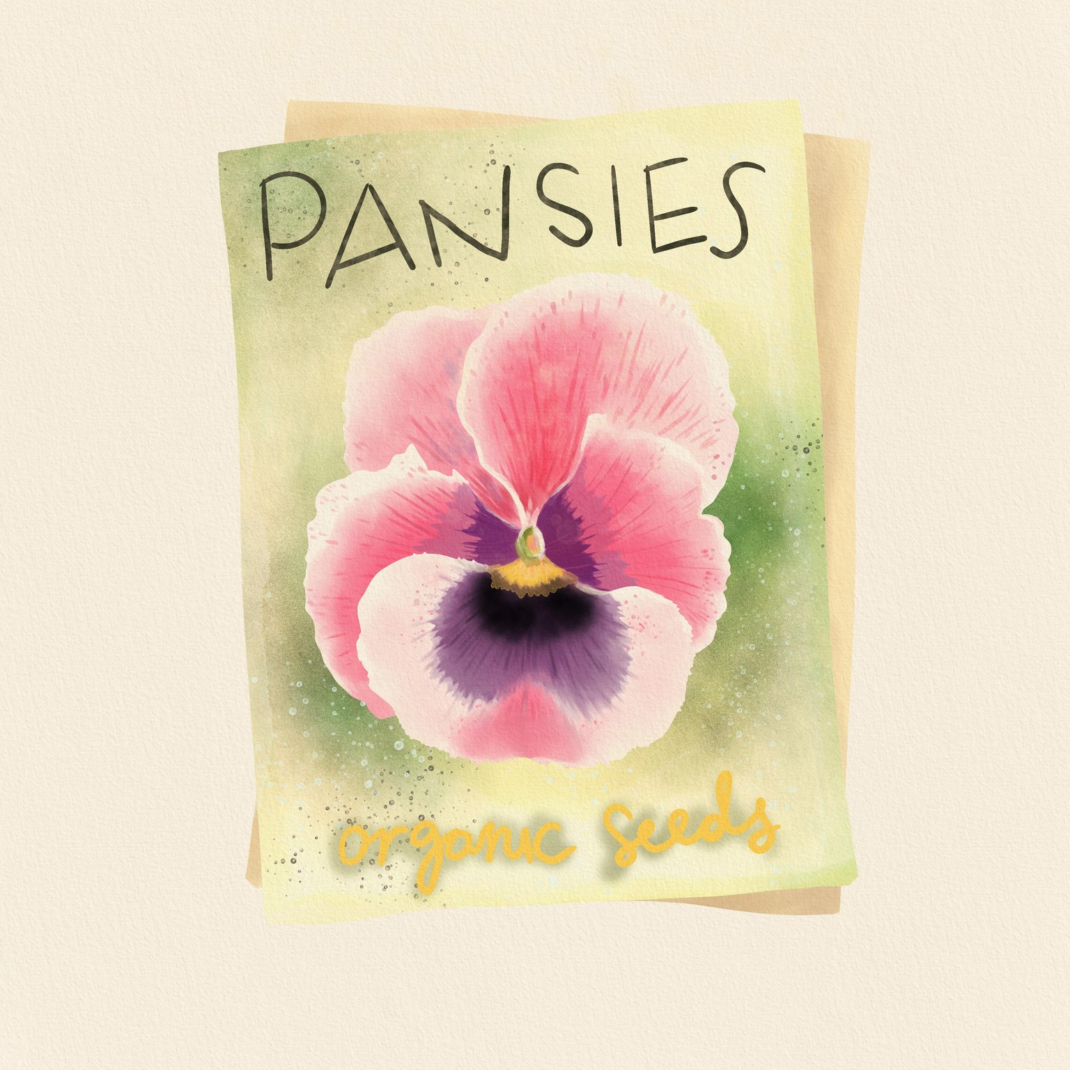 Pansy - image 1 - student project