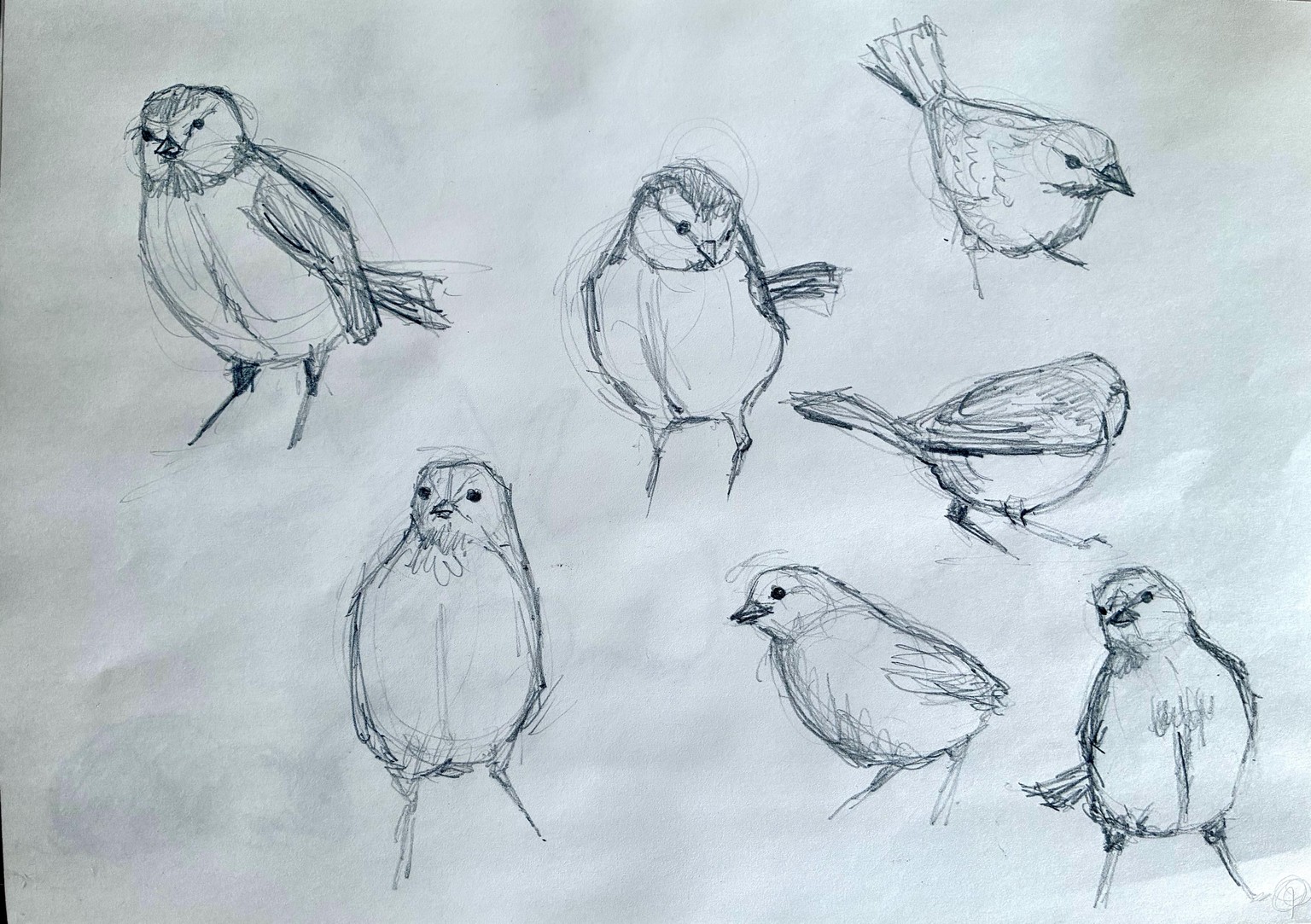 Pencil Sketching - image 2 - student project