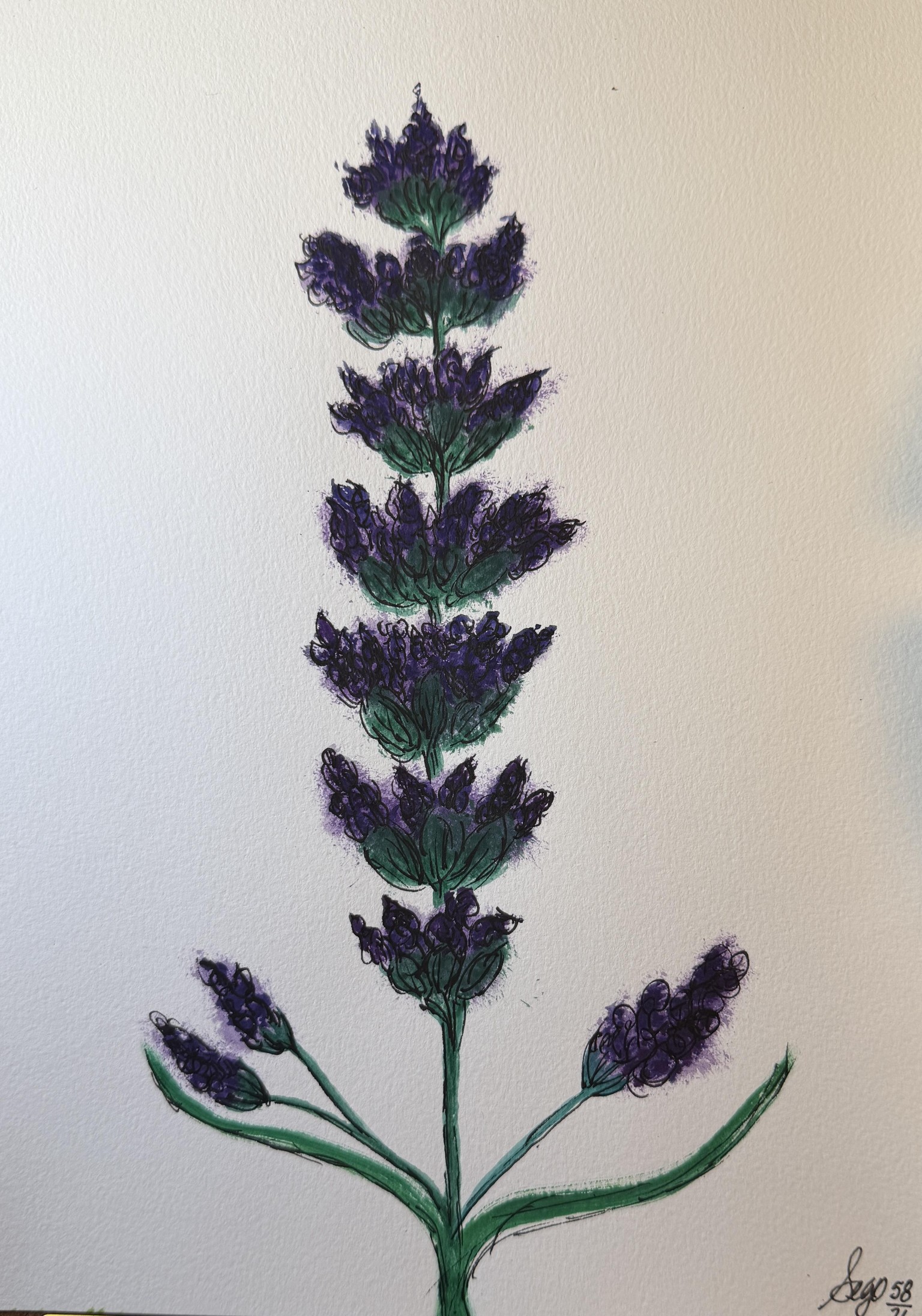LAVENDER 1 & 2 - image 2 - student project