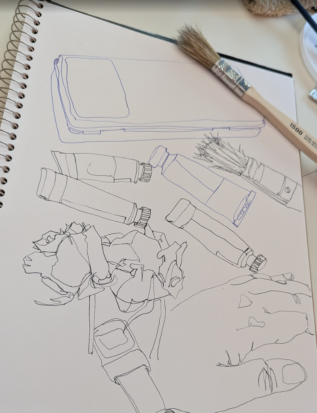 Continuous Line Drawings - image 1 - student project