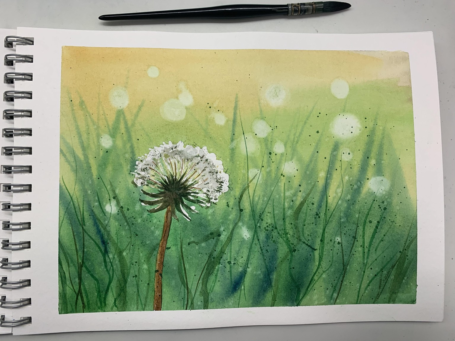 Dandelion with Bokeh Effect - image 1 - student project