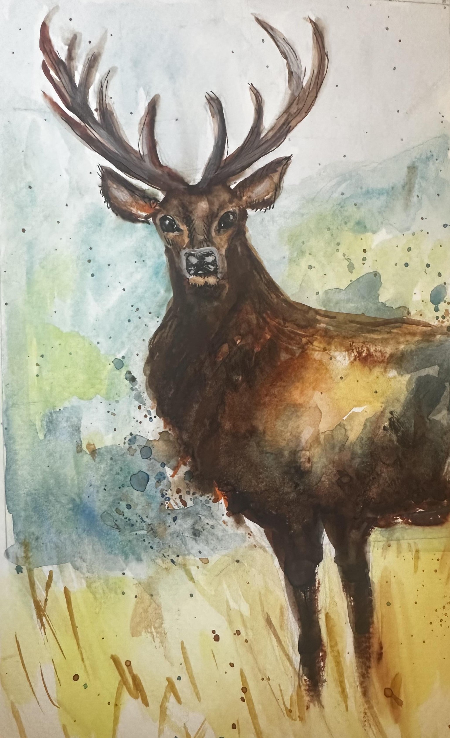 Stag - image 1 - student project