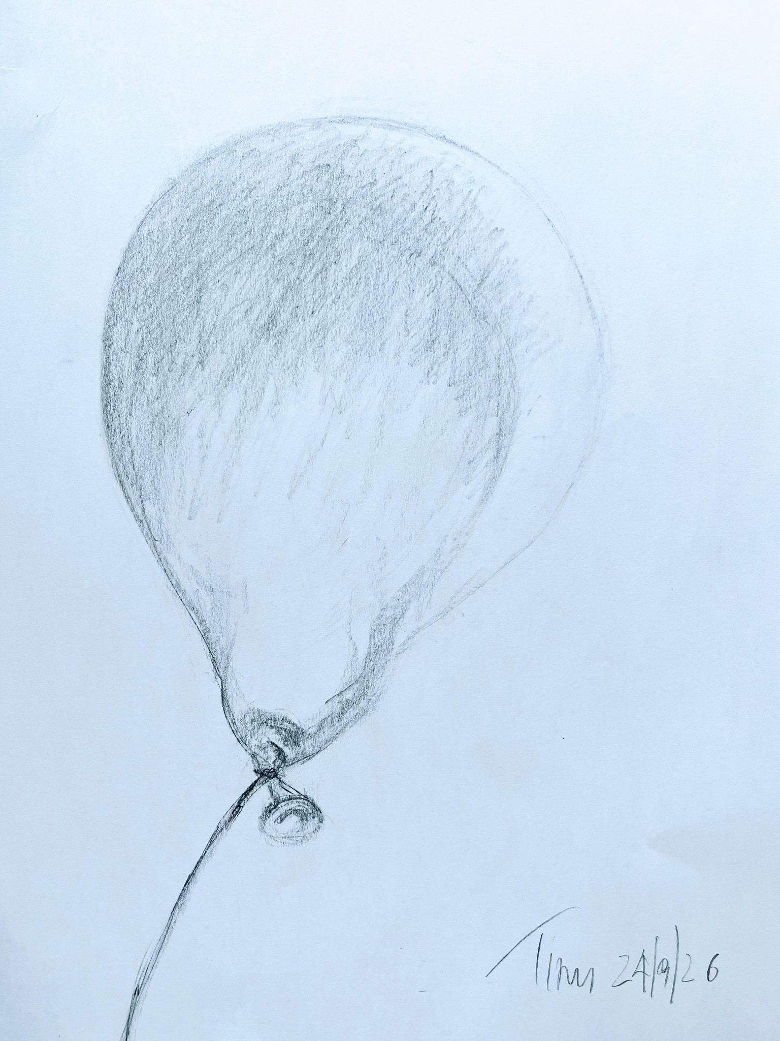Lasciamo il segno - image 12 - student project