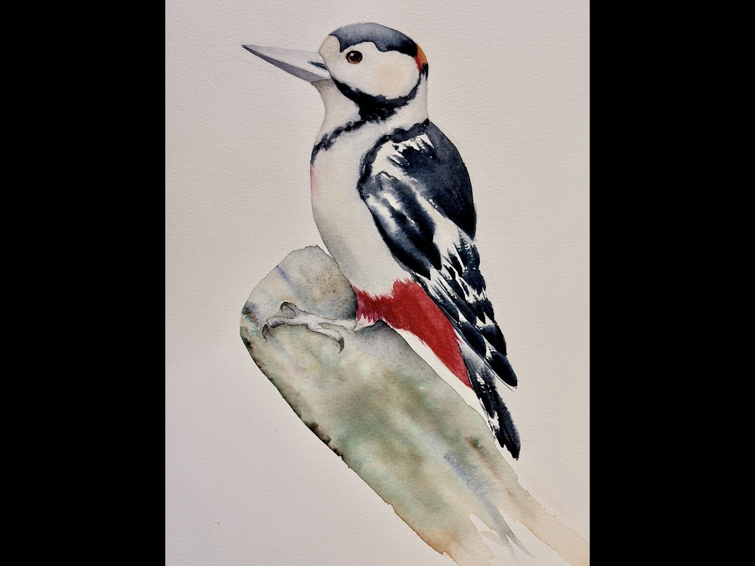 Woodpecker - image 1 - student project