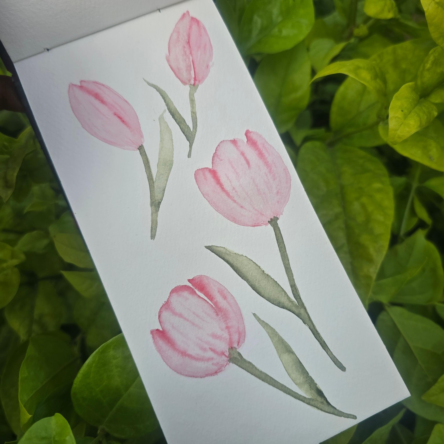 Tulips🌷 - image 3 - student project