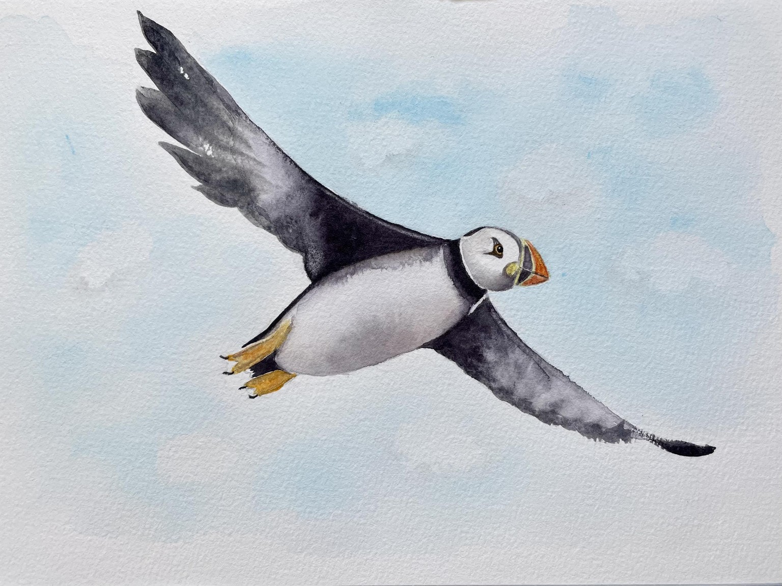 Flying Puffin - image 1 - student project