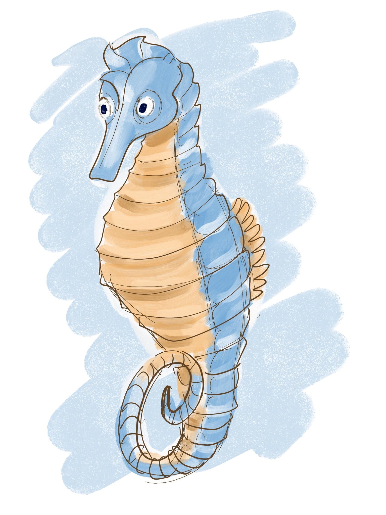 Seahorse - image 3 - student project