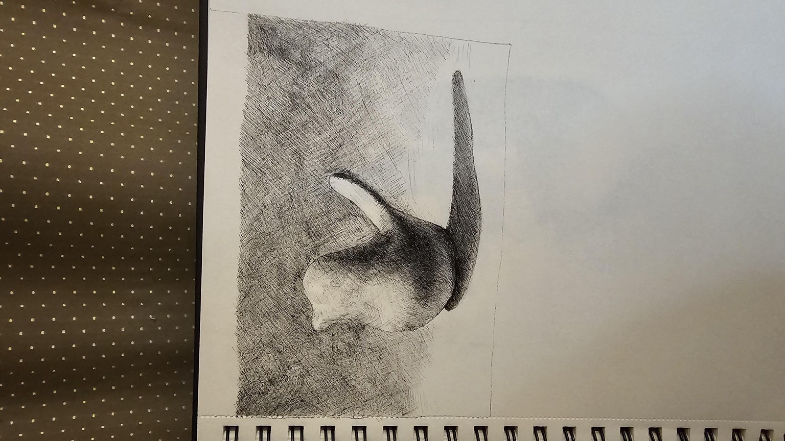 Last shading practice with pen and ink … - image 1 - student project
