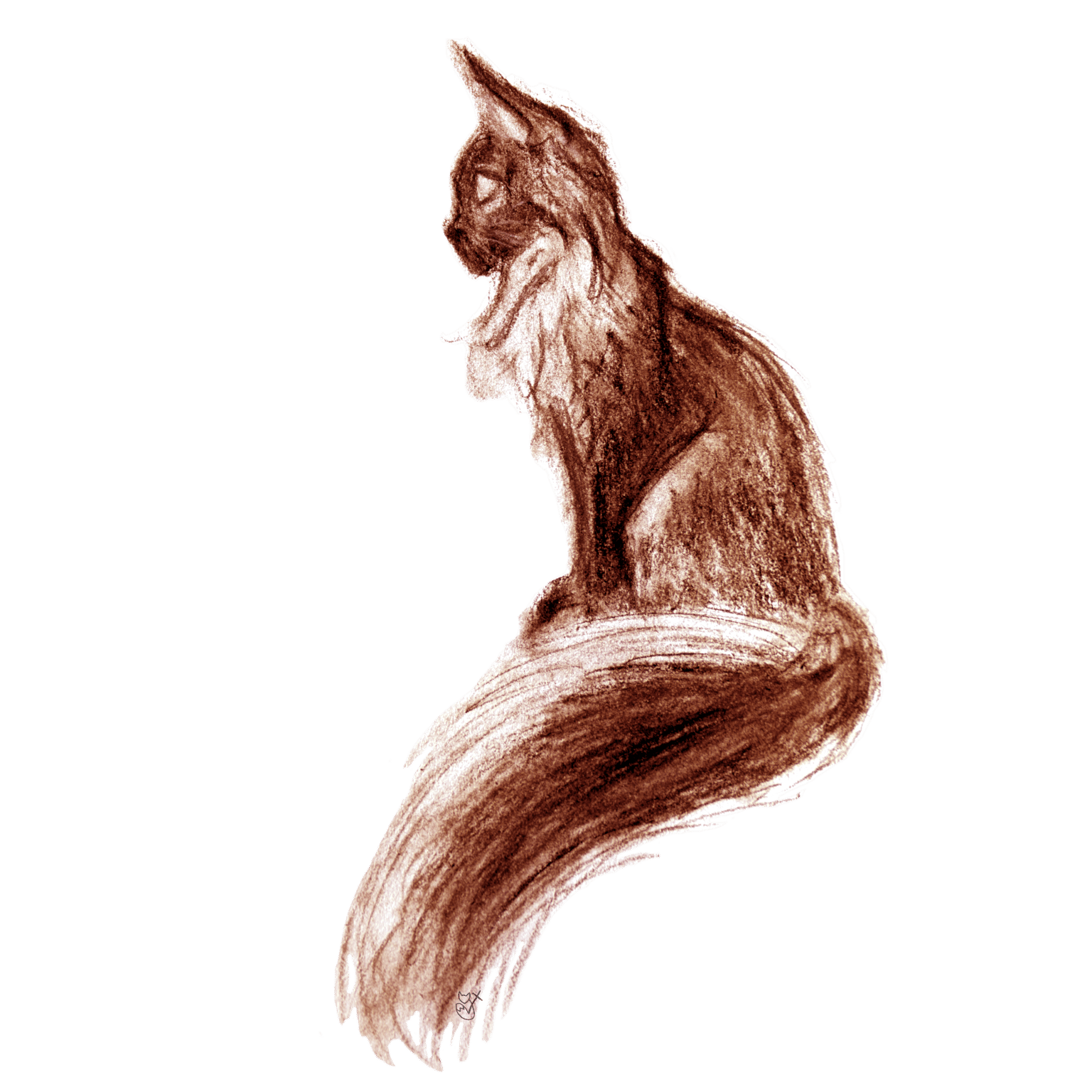 Digitizing art: charcoal cat - image 7 - student project