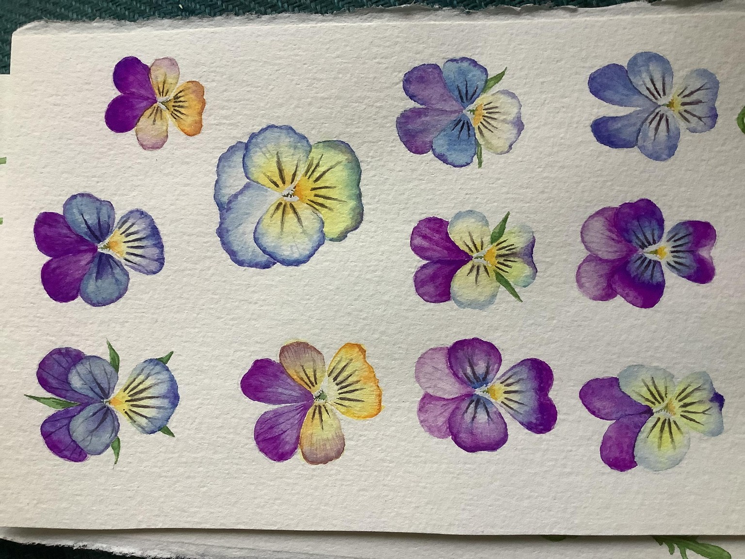Watercolour Viola faces - image 2 - student project