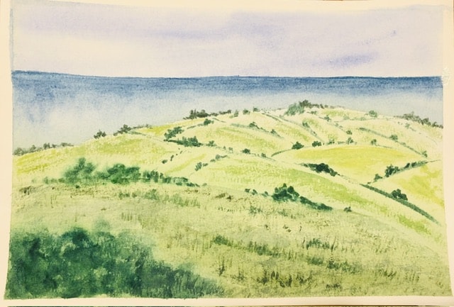Mini Landscapes - image 3 - student project