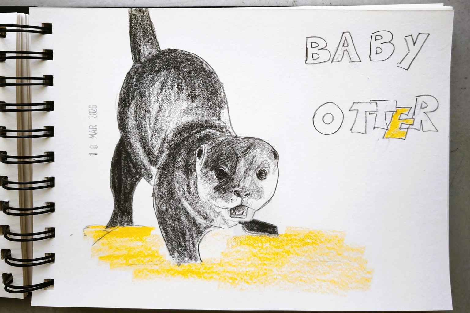 Pencil Sketching: quick and loose animals - image 12 - student project