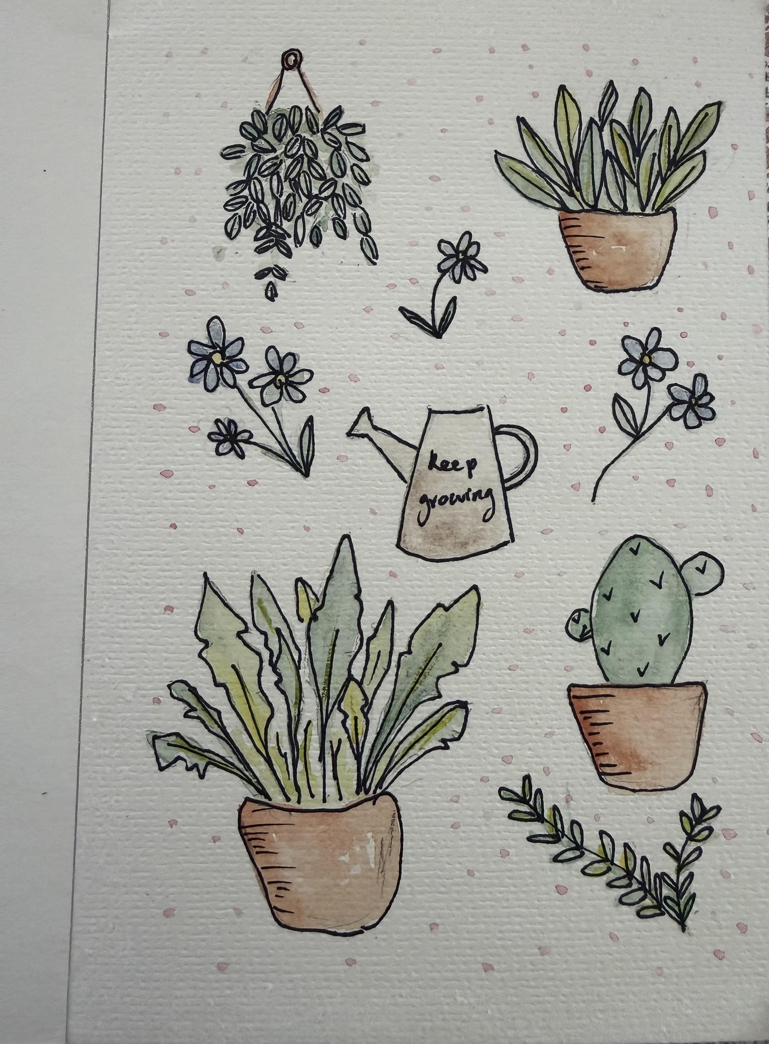 Botanicals - image 1 - student project