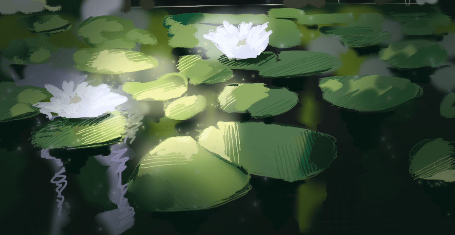 Water Lilies - image 1 - student project
