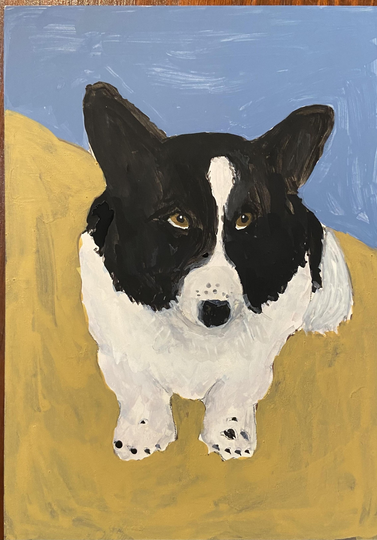 Cody - image 1 - student project