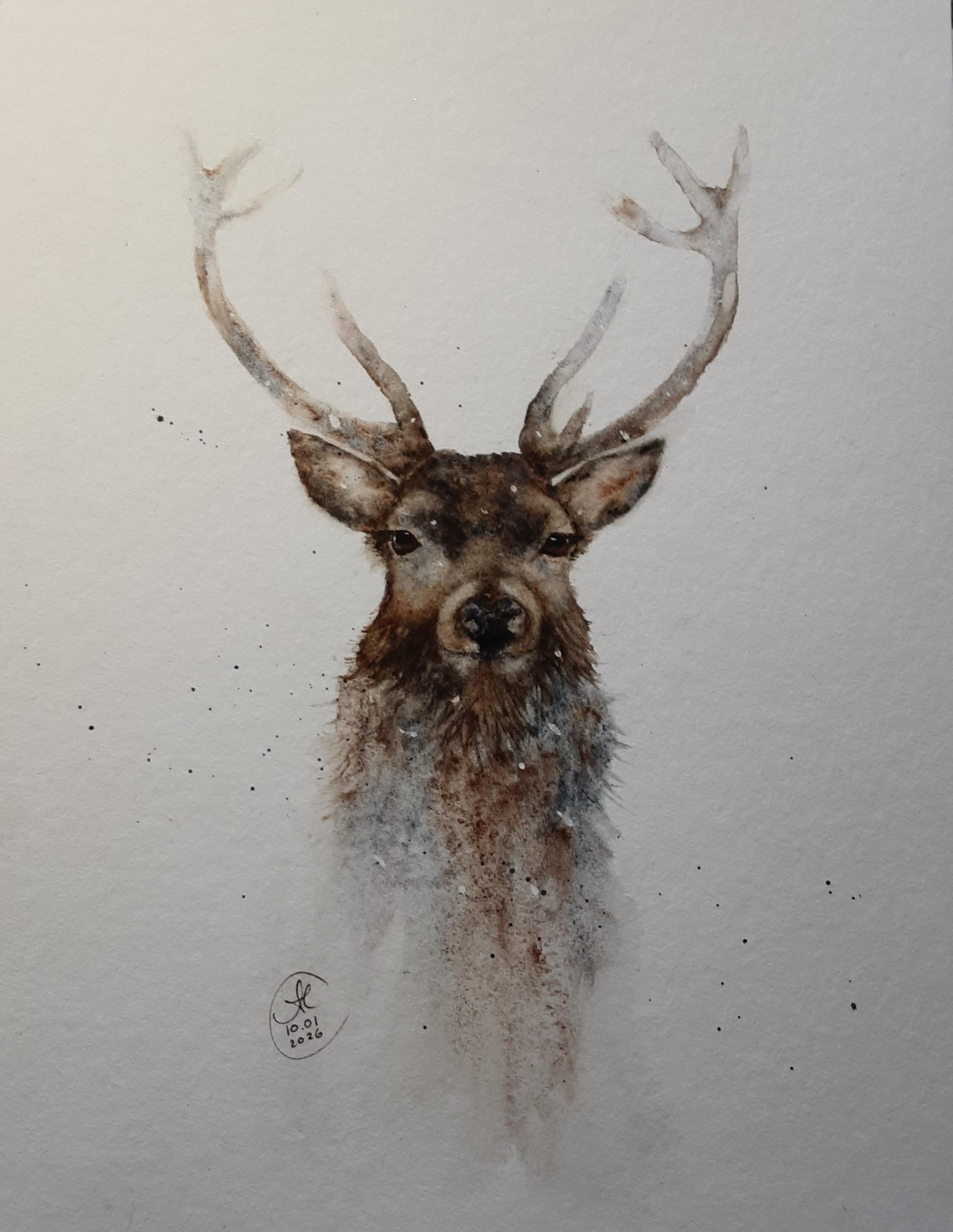 Stag (Jane Davies class) - image 2 - student project