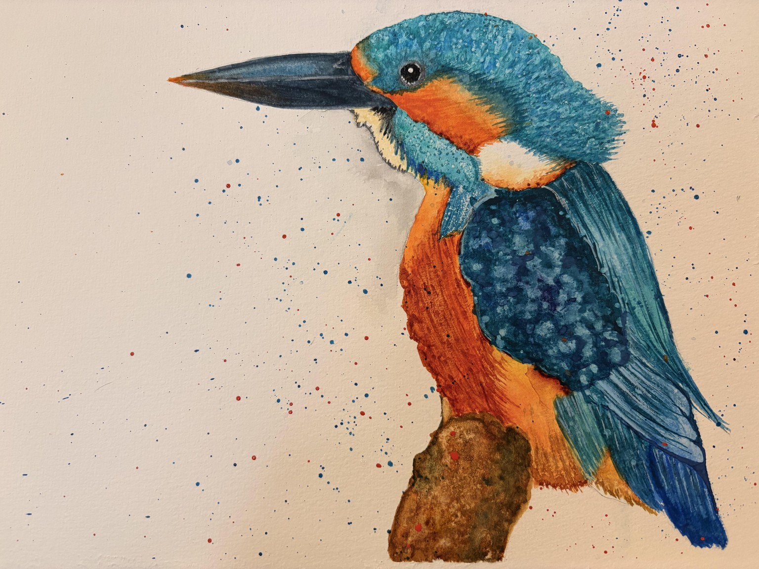 Watercolour Kingfisher - image 1 - student project