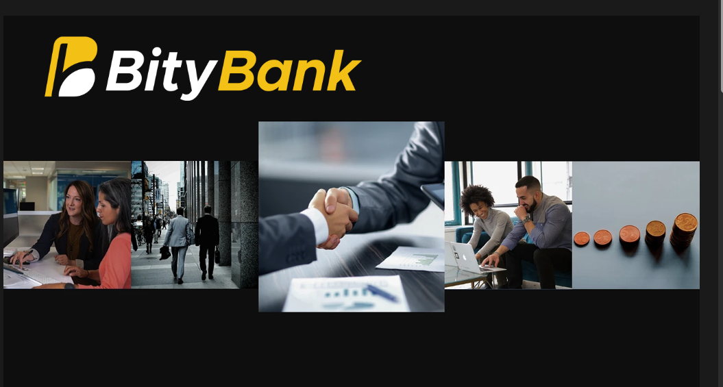 bity bank project - image 3 - student project