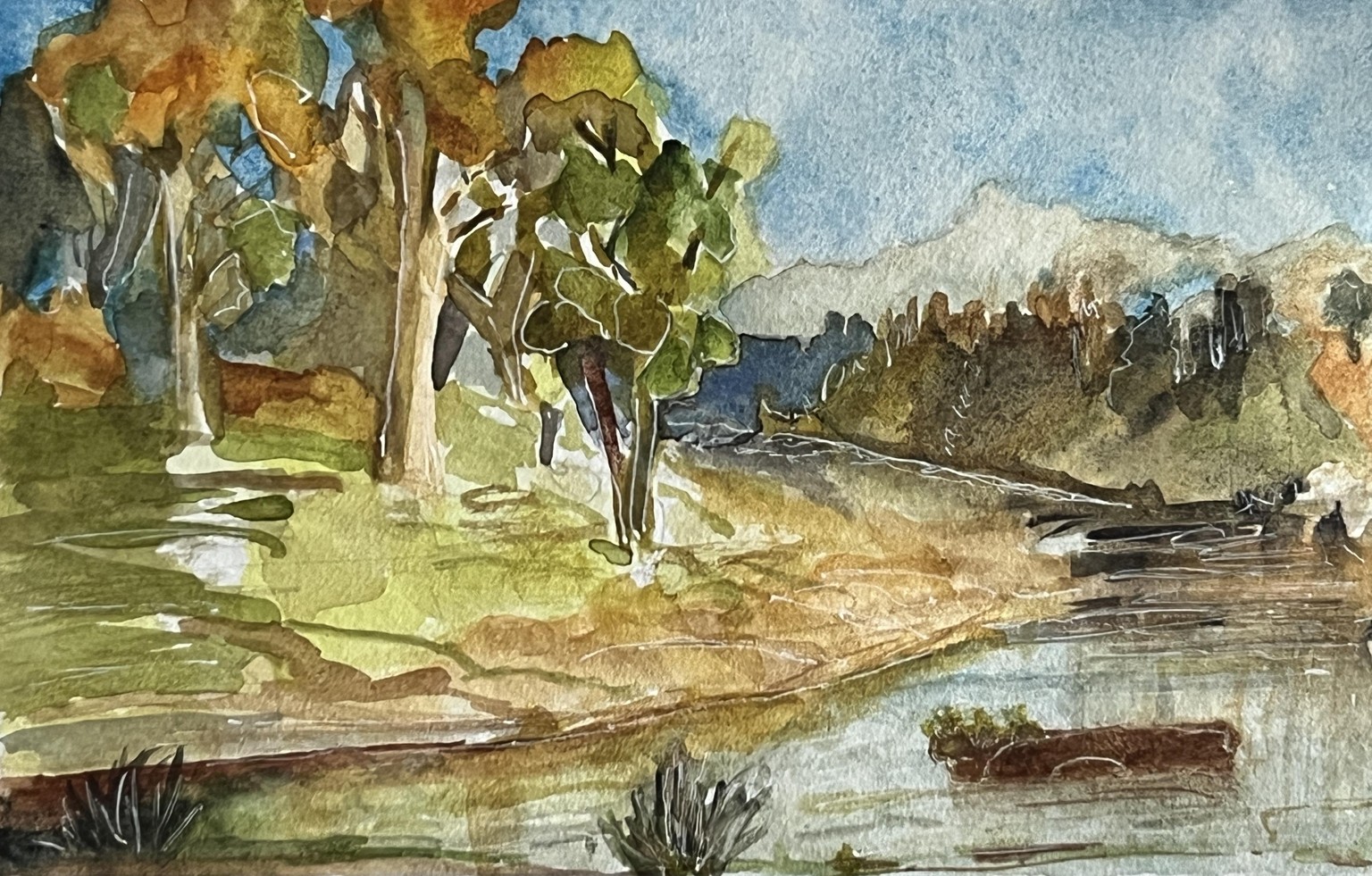 Landscape trees & water - image 1 - student project