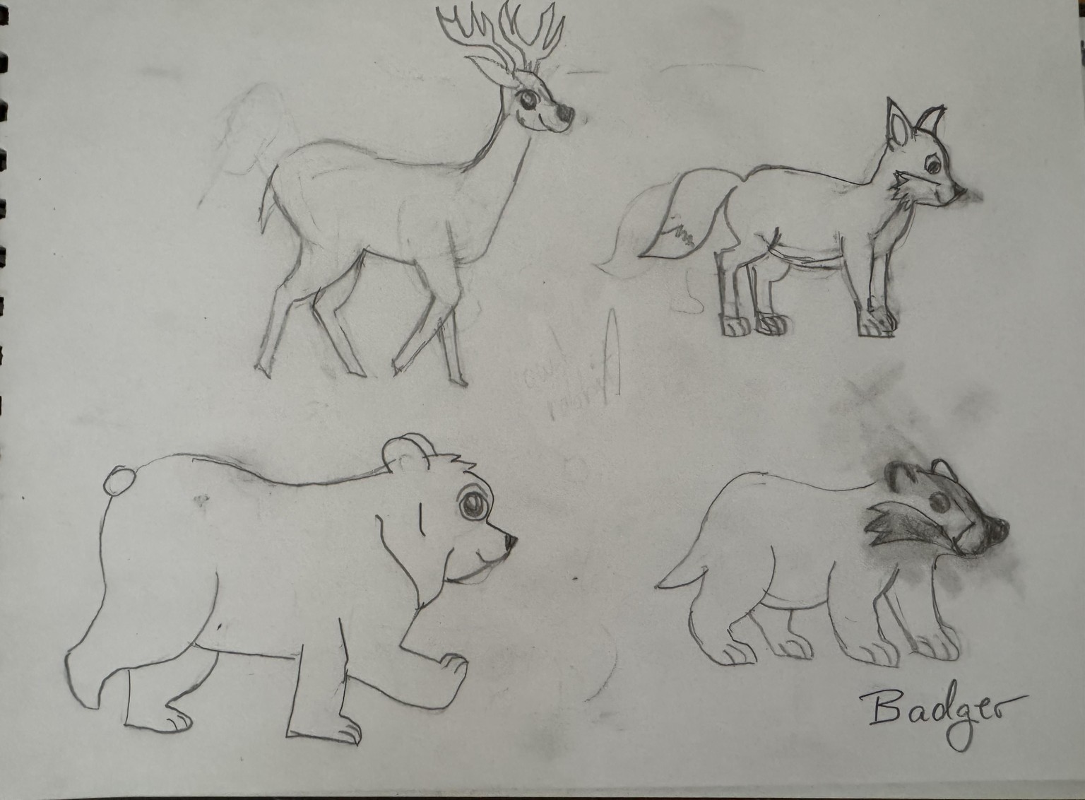My 1st Animal Character Designs - image 2 - student project