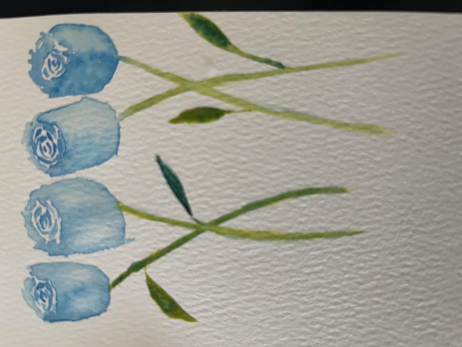 Blue Longstem Roses - image 1 - student project