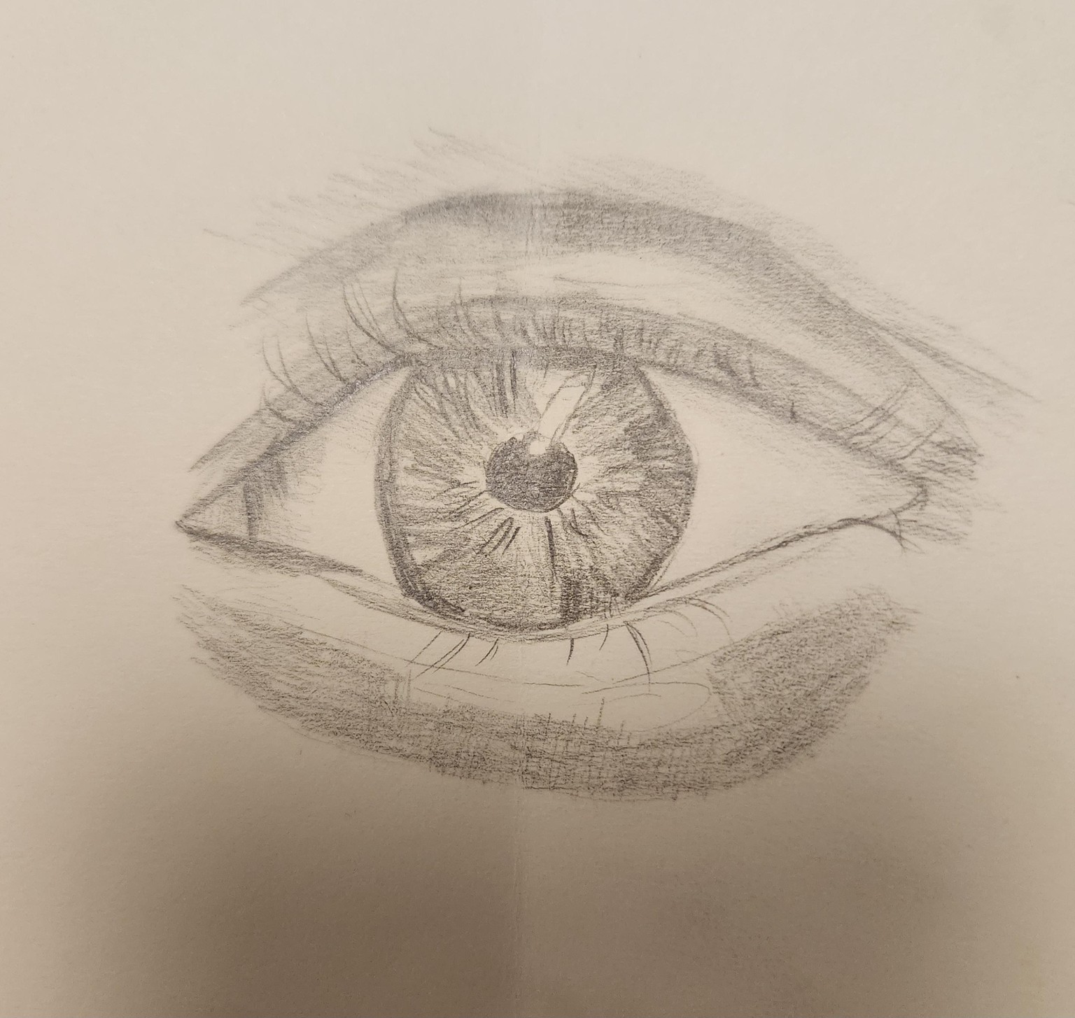 Eye drawing - image 1 - student project