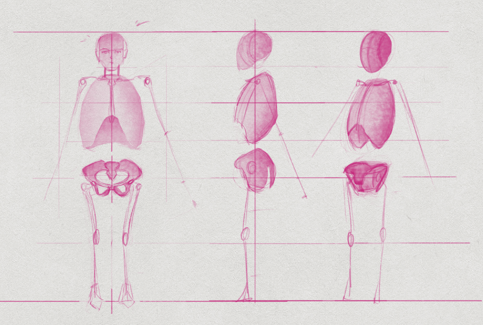 Human Body Proportion - image 1 - student project