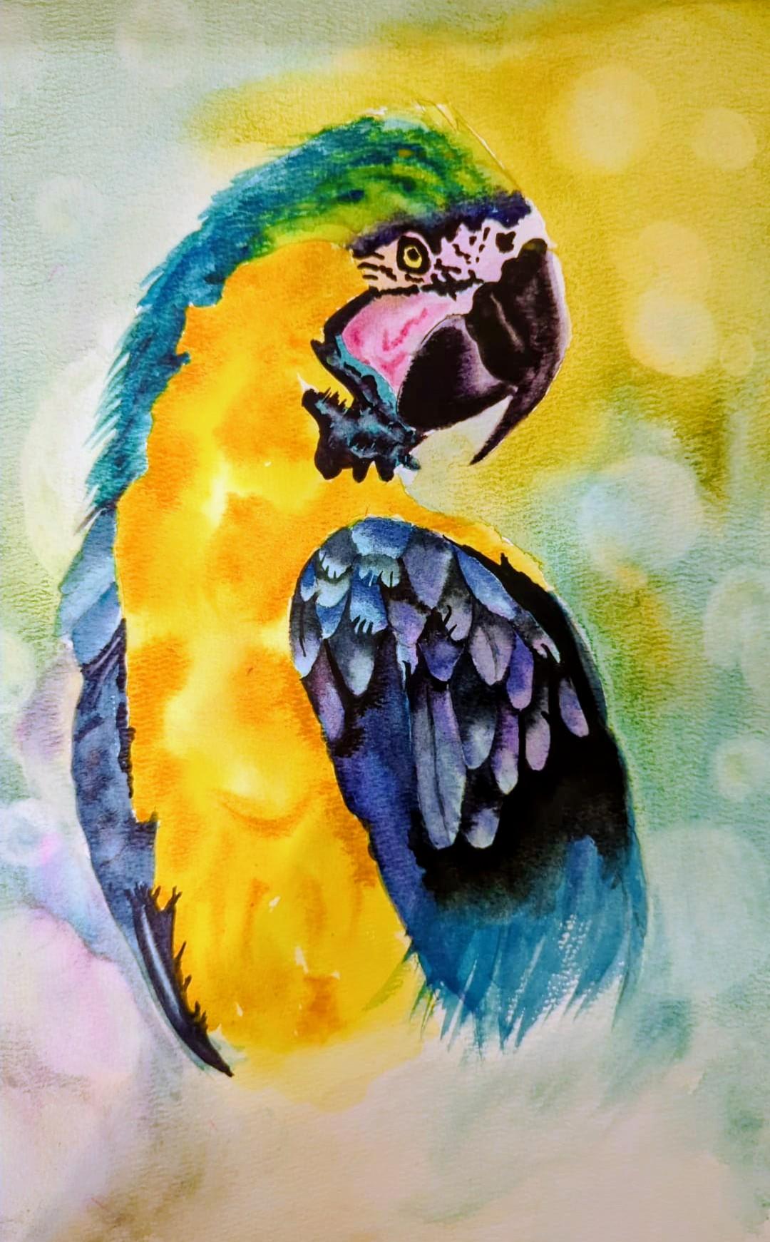 Pretty Parrot - image 1 - student project