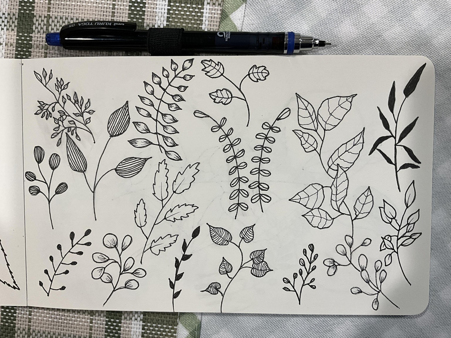 Botanical Drawing for Beginners - image 4 - student project