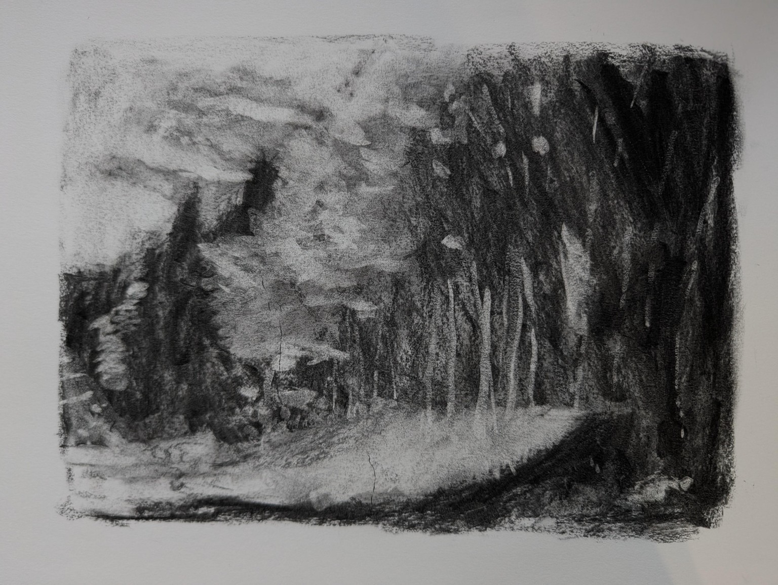 Impressionism: Aspen Autumn Landscape with Christopher Clark - image 2 - student project