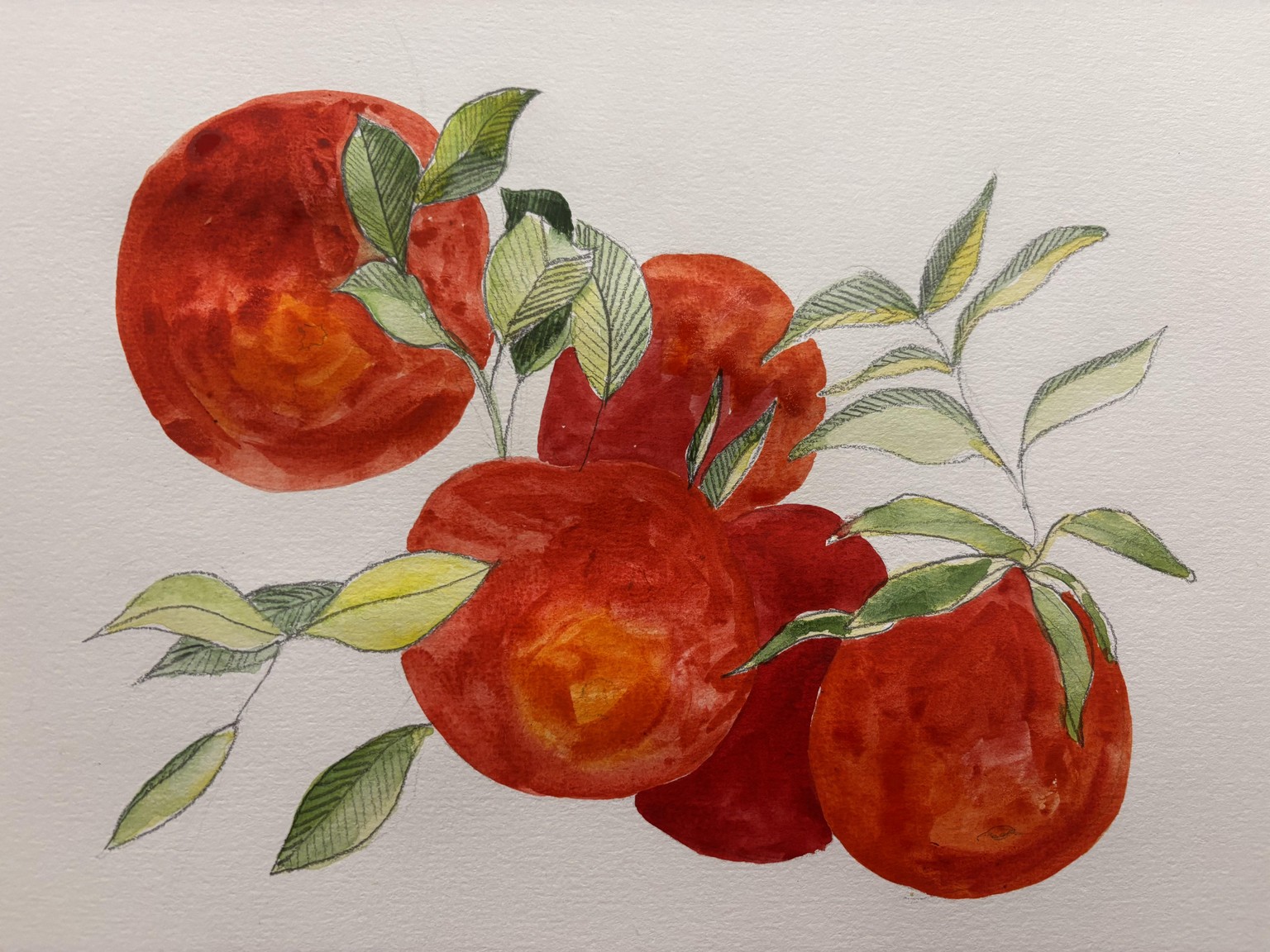 Mixed media apples - image 2 - student project