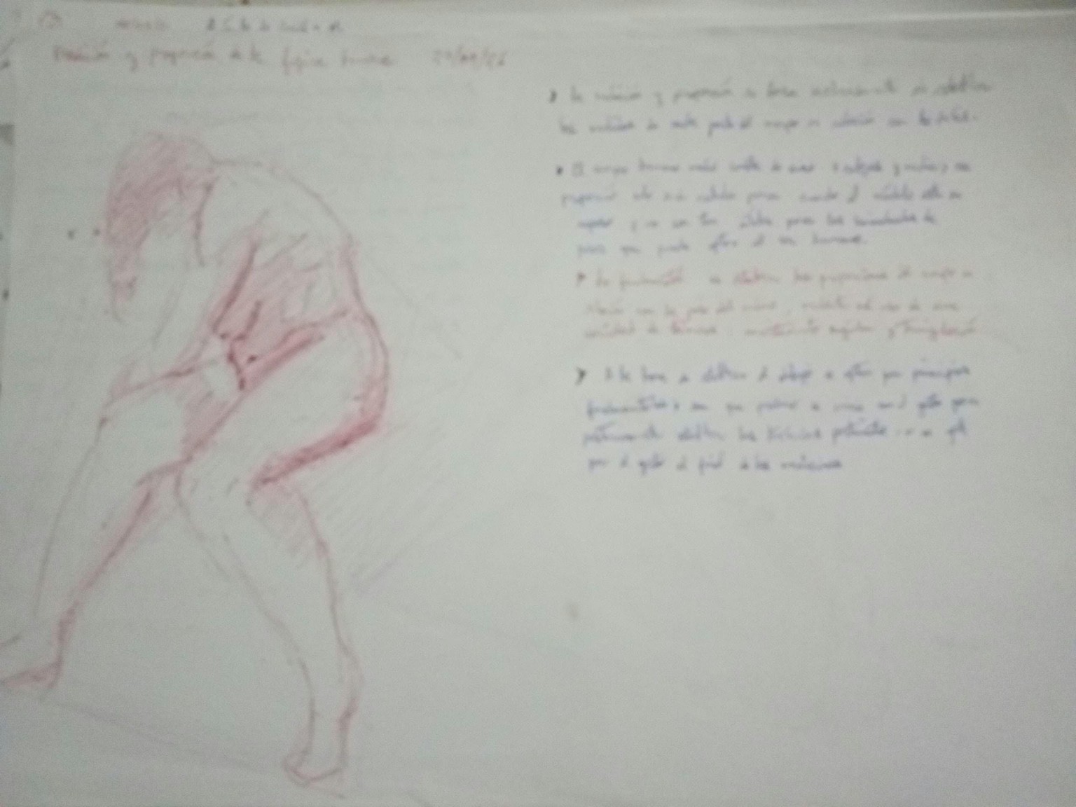 Medición y proporciones - image 1 - student project
