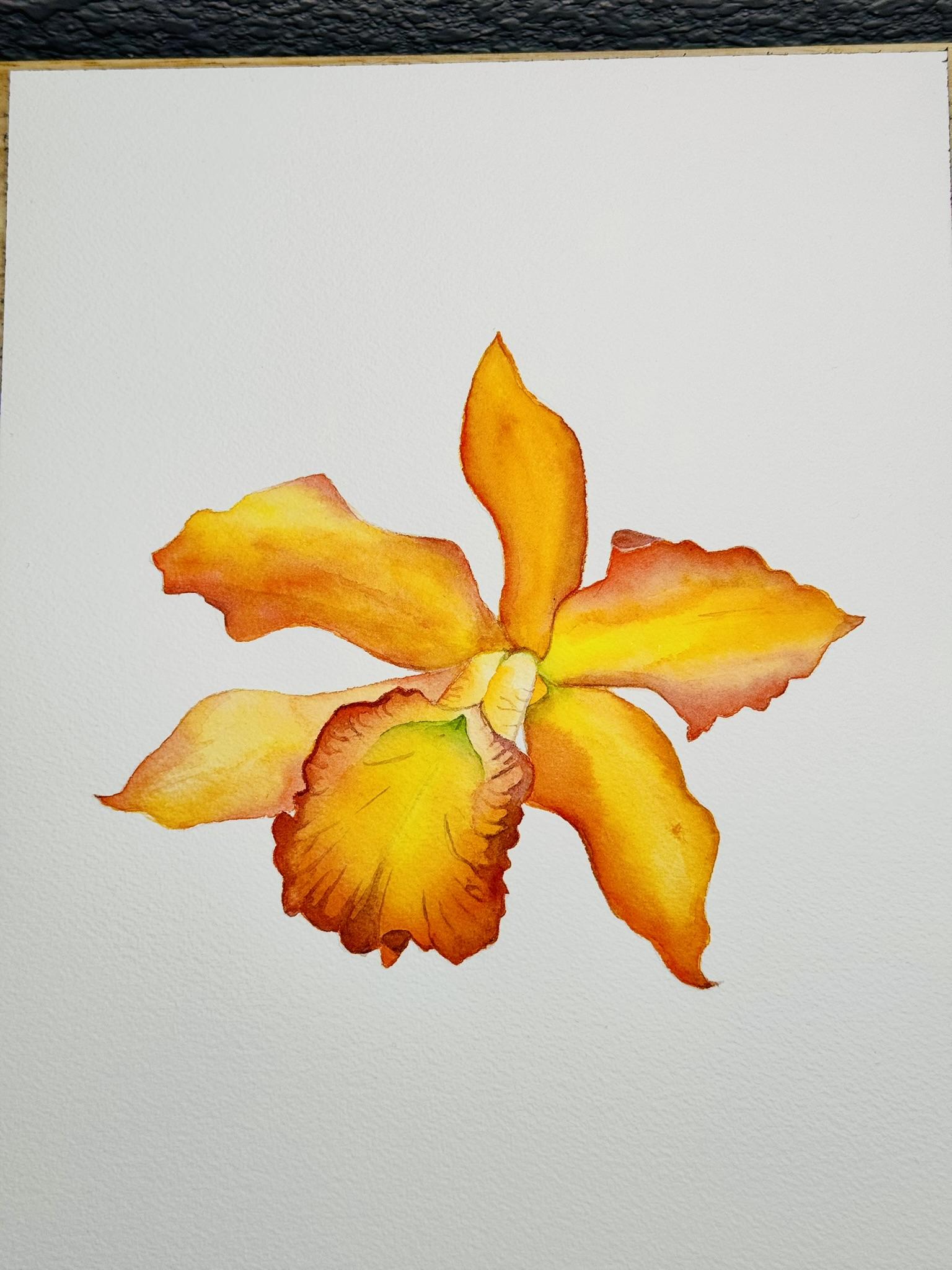 3 Orchids - image 2 - student project