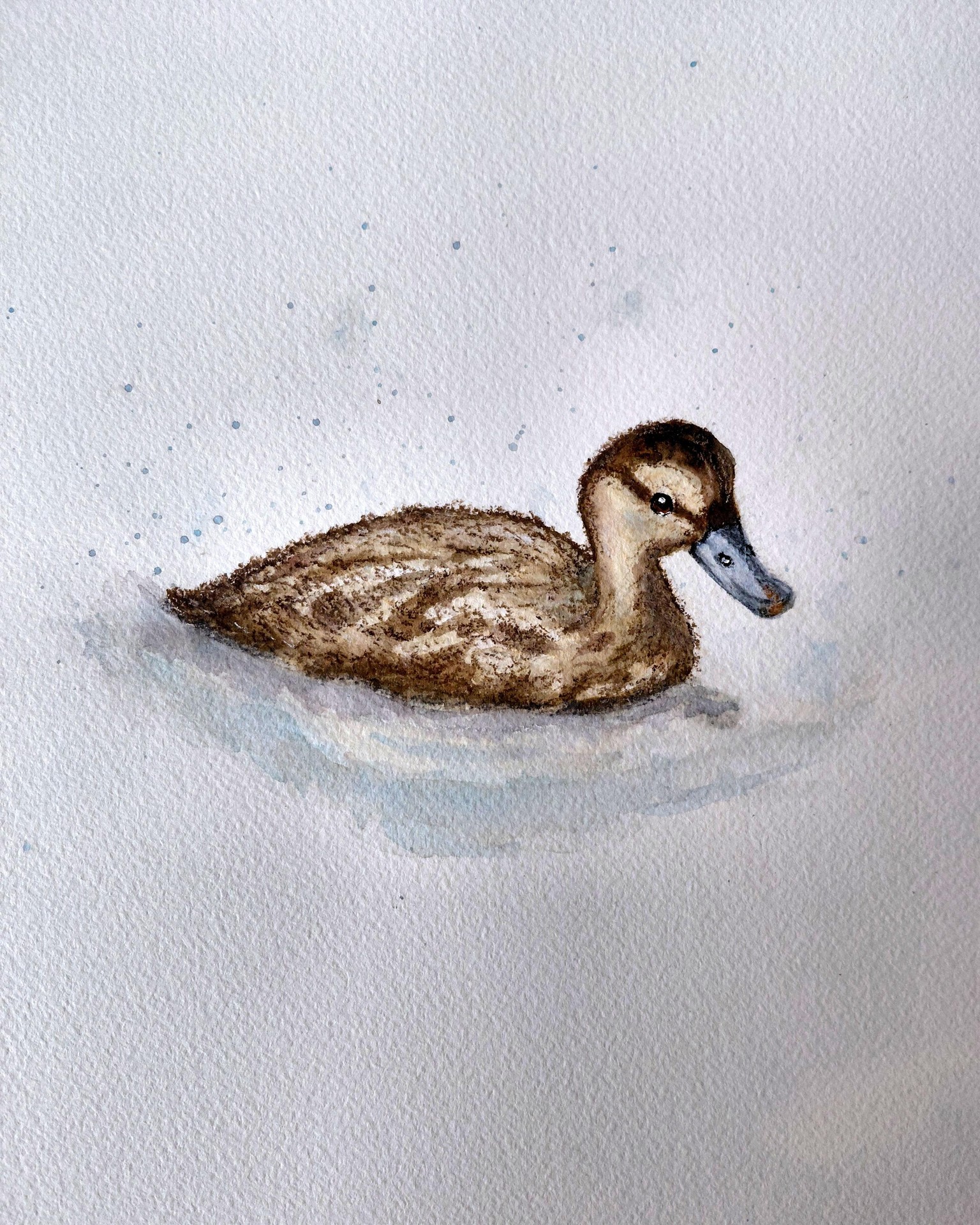 duckling, watercolor - image 1 - student project