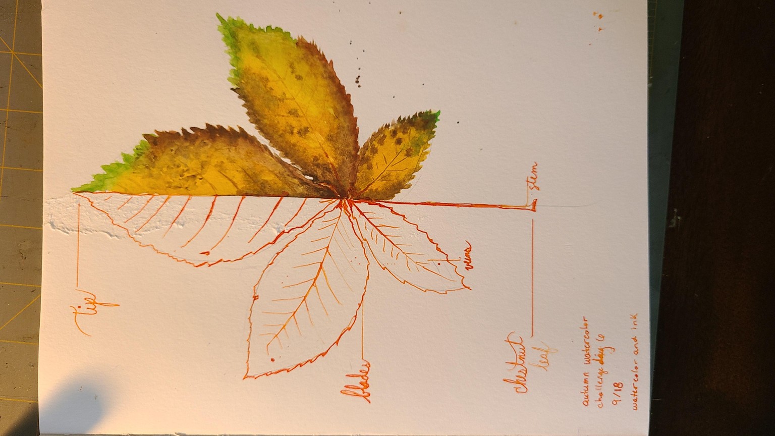 Day 1-12 - image 7 - student project