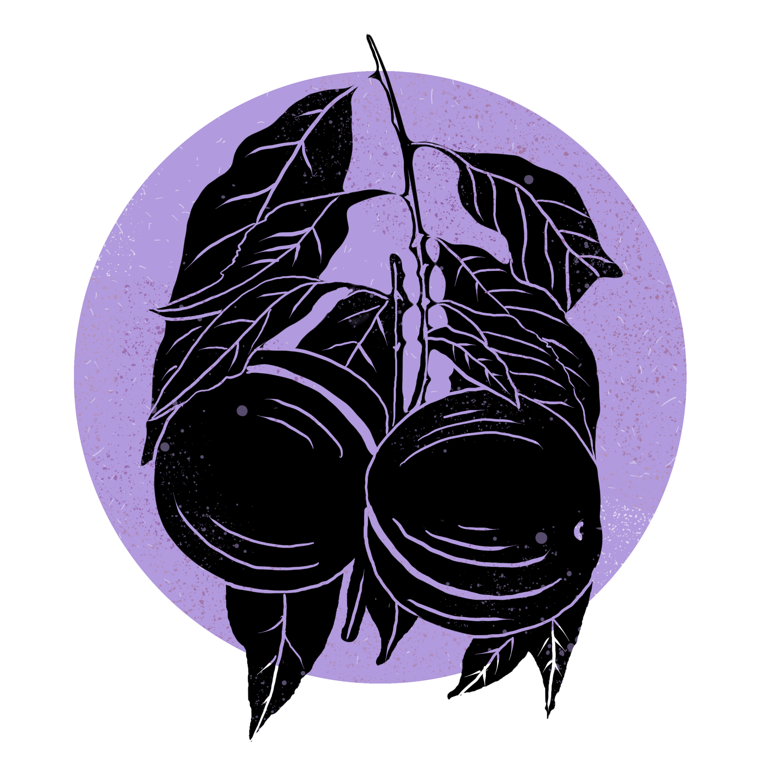 sugar plum - image 1 - student project