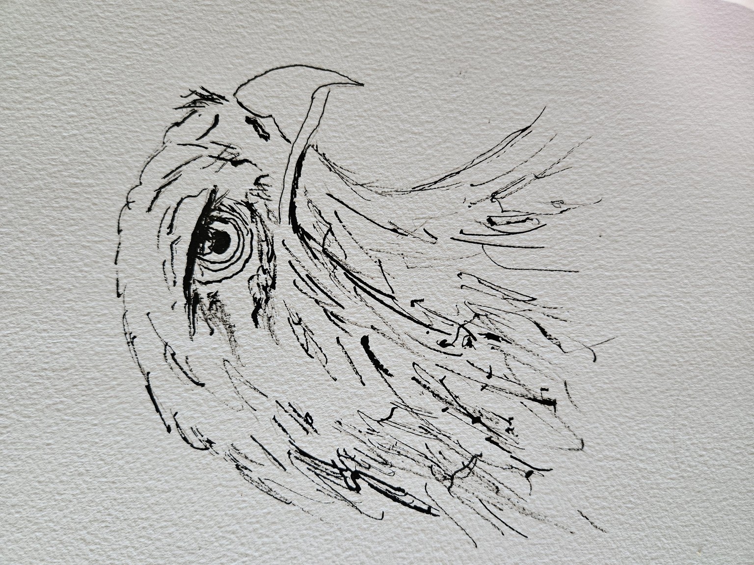Ink watercolor eagle - image 2 - student project