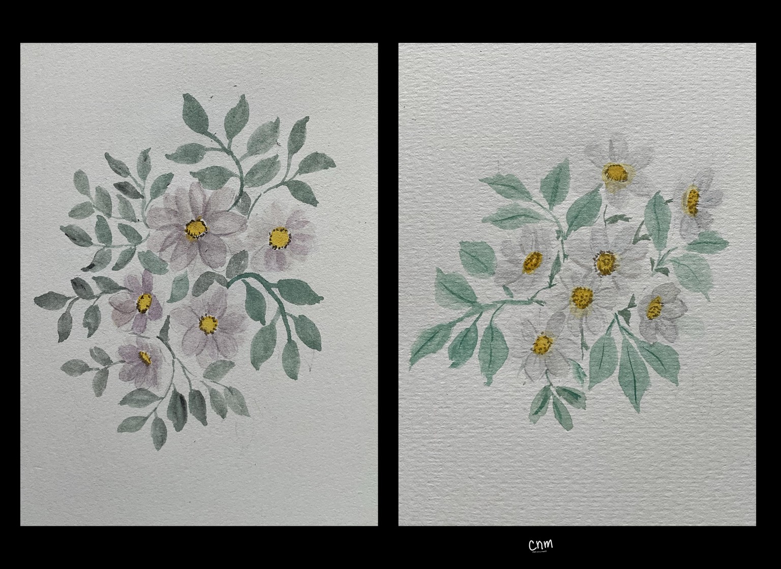 Daisies - image 1 - student project