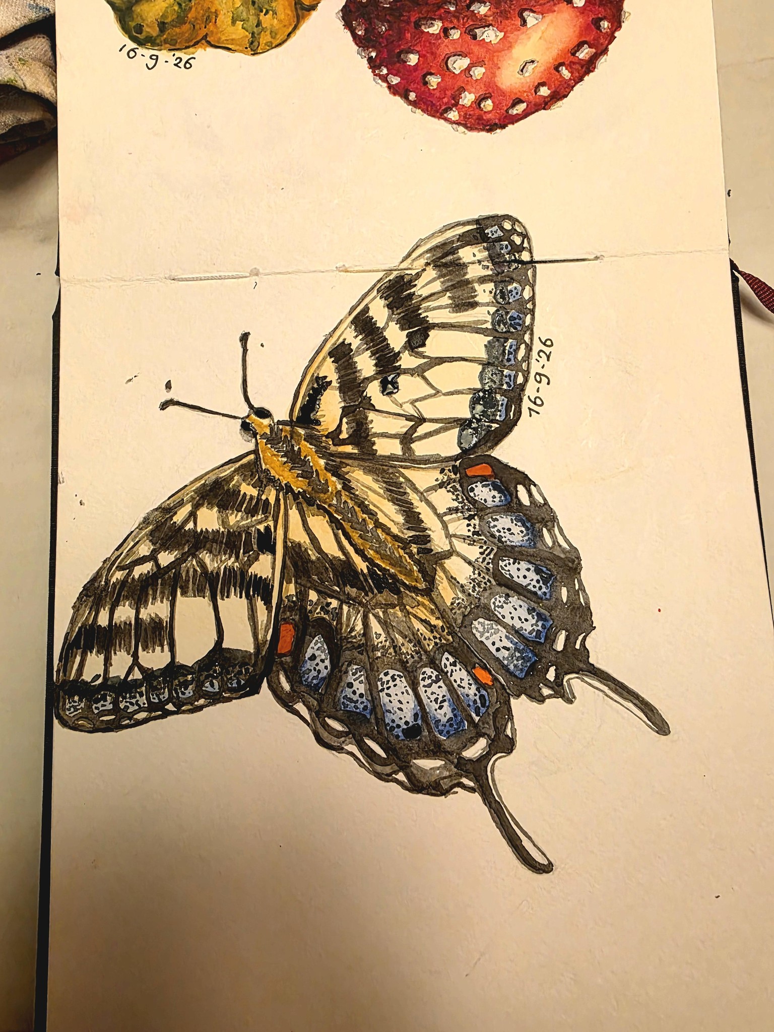 Butterfly - image 1 - student project