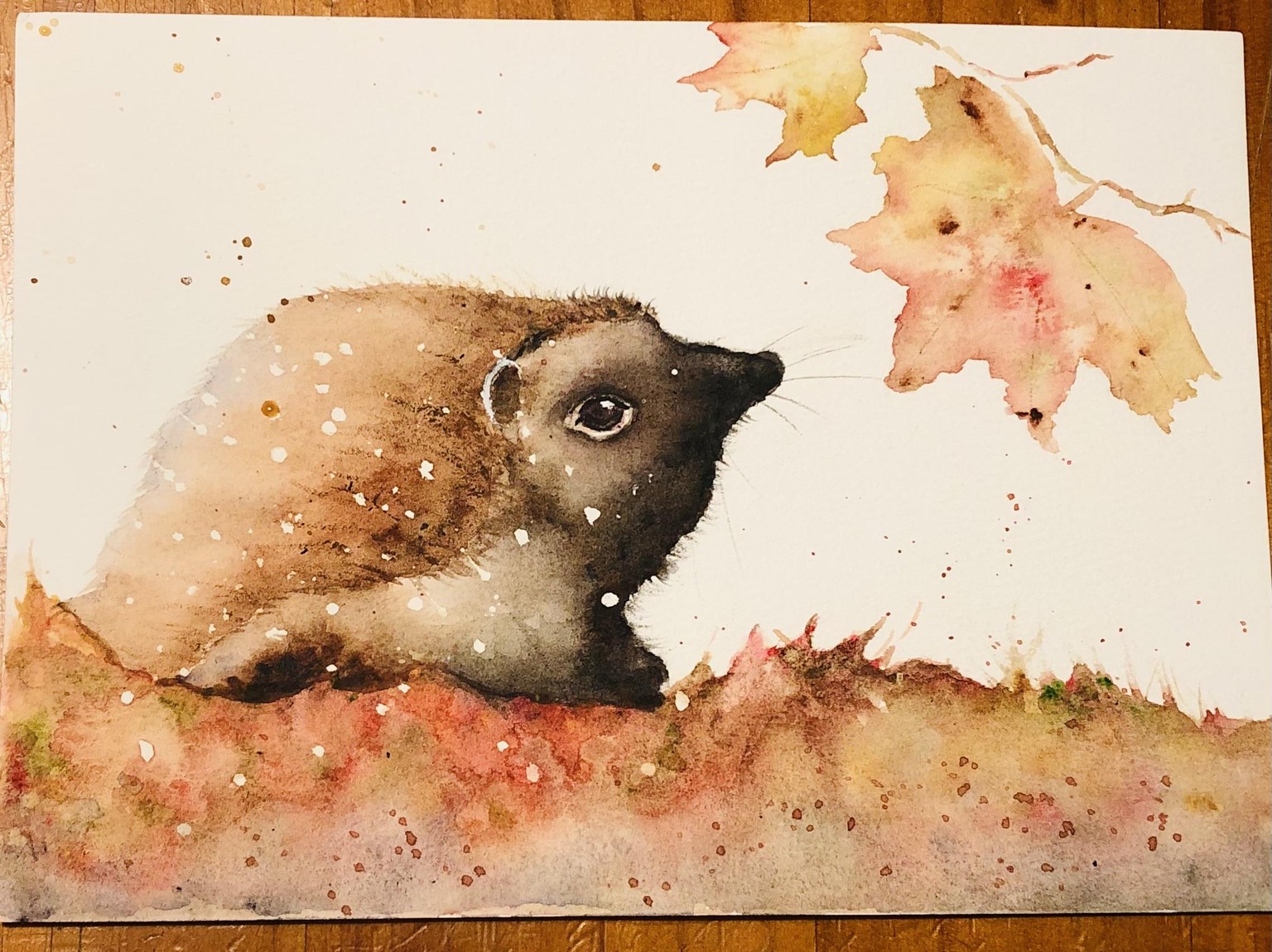 My Hedgehog 🦔 Chocolate - image 1 - student project