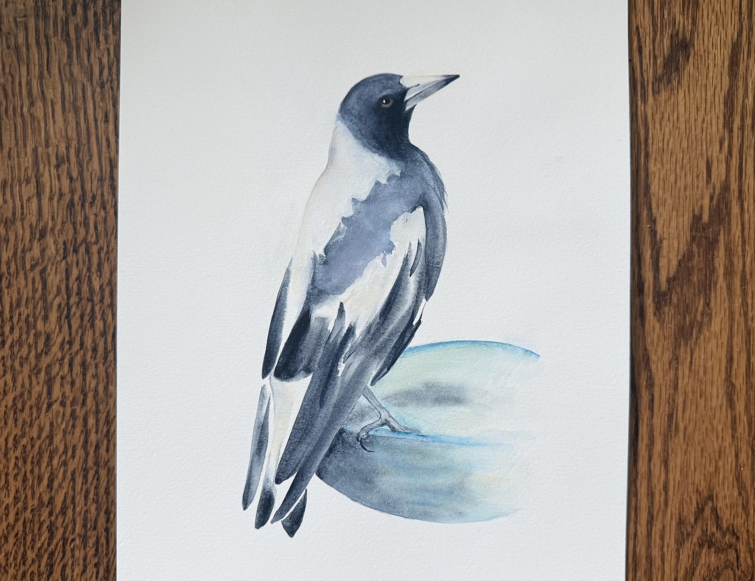 Magpie - image 1 - student project